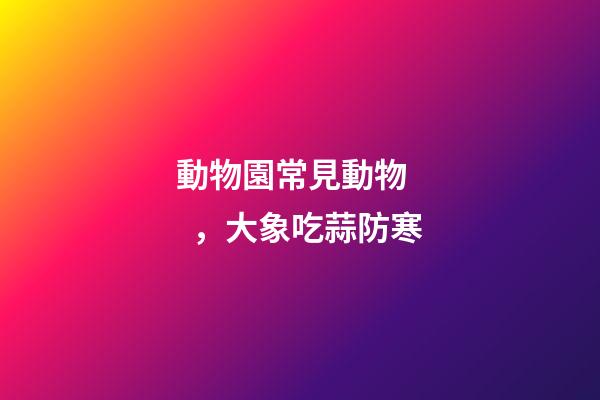 動物園常見動物，大象吃蒜防寒-第1張-觀點-玄機派